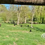 Du Herisson, 6 Personnes Saint-Michel de la Roe