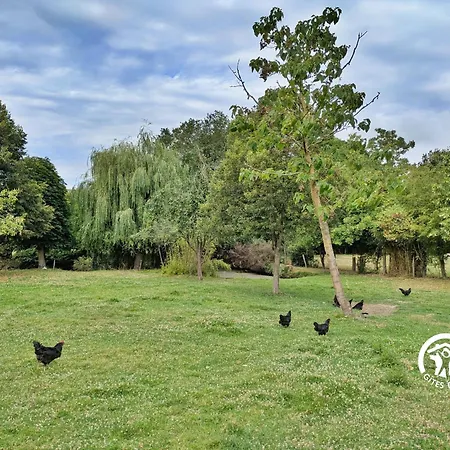 Du Herisson, 6 Personnes Holiday home Saint-Michel de la Roe