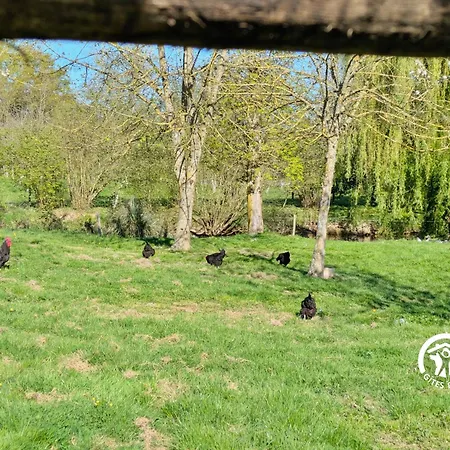 Du Herisson, 6 Personnes Saint-Michel de la Roe